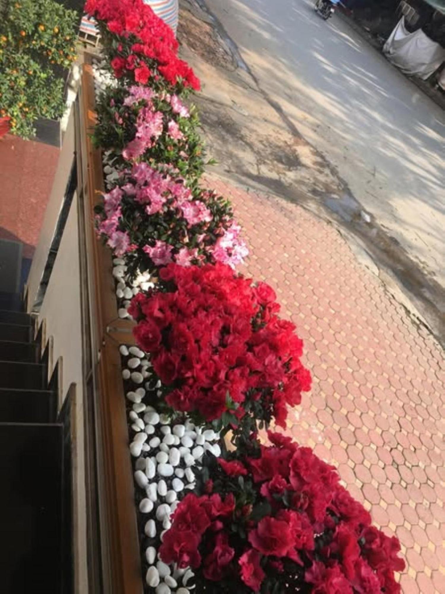 Hoa Viet Hotel 高平 外观 照片